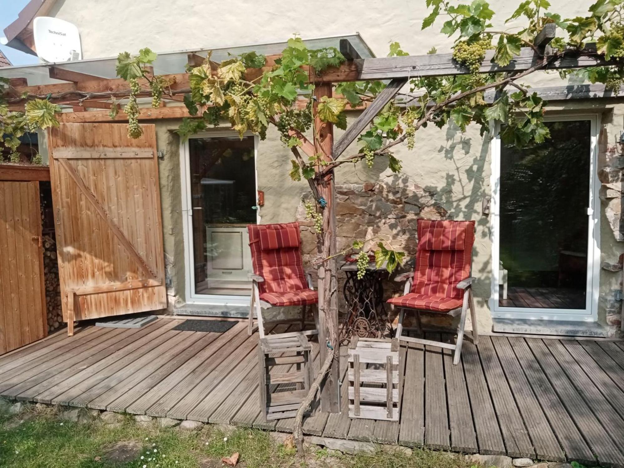 Pension "Seeblick" Am Stelzenhaus Dornburg  Екстериор снимка